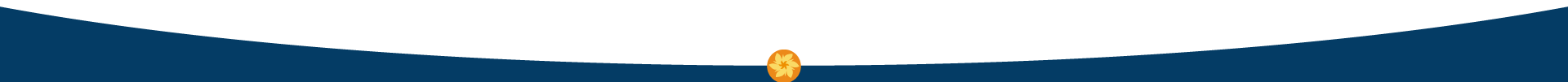 banner banner